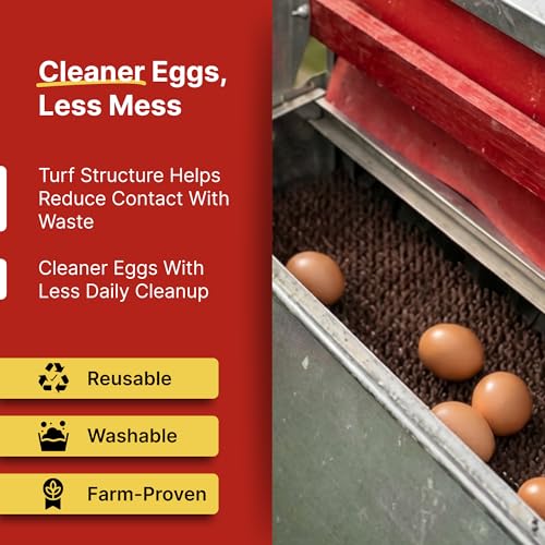 HenGear Chicken Nesting Pads, Astroturf NXT v5.2 Nesting Pads for Chicken Coop, Washable and Reusable Bedding for Clean Egg Collection, Comfortable Laying Surface for Chickens, Small - size: Small