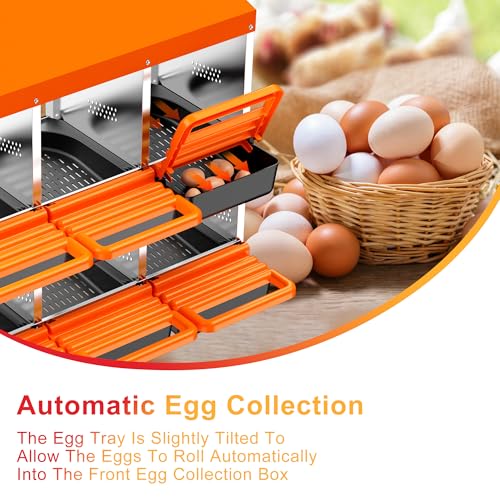 Chicken Nesting Boxes, Metal Roll Away Nest Box for Chickens Laying Egg with Lid Cover to Protect Eggs (6 Holes Orange) - size: 6 Holes