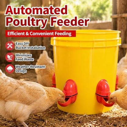 Automatic Feeder Feeding Dispenser Container Equipment for Birds Suitable for Home Chicken Coop Outdoor Housing, Automatic Poultry Feeder with