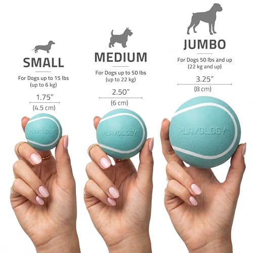 Playology Dog Toys | Squeaky Chew Ball for Dogs, Value 2-Pack | Peanut Butter Scented Medium Dog Balls | Bouncy Floating Chew Toys for Fetch - size: Medium (VALUE 2-Pack), style: Peanut Butter