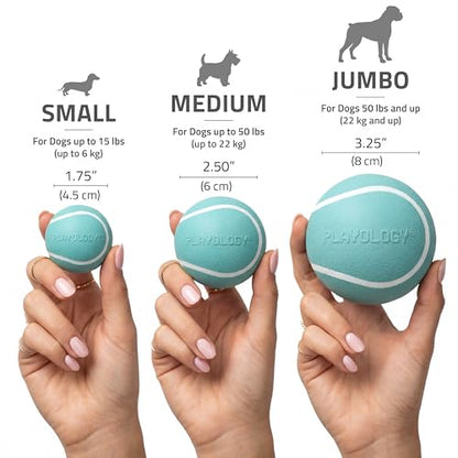 Playology Dog Toys | Squeaky Chew Ball for Dogs, Value 2-Pack | Peanut Butter Scented Medium Dog Balls | Bouncy Floating Chew Toys for Fetch - size: Medium (VALUE 2-Pack), style: Peanut Butter