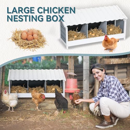 PETSFIT 3 Holes Chicken Nesting Box-All Weather PVC Roof, Natural Wood Design with Privacy Back Panel for Hens-Wall Mounted or Floor Use in Coops, Farms, Backyards,Easy to Assemble and Clean - size: 3 Holes