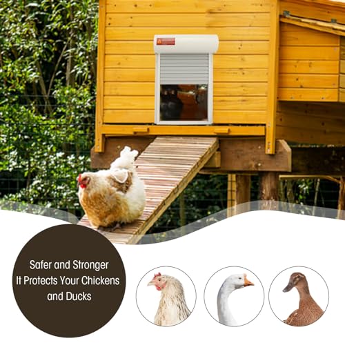Automatic Chicken Coop Door, Solar Powered Timer Control with LED Display for Poultry Safety Duck Goose Farm, Metal Plastic Construction (White) - color: White
