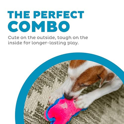 Outward Hound Durablez Minis – Squeaky Plush Dog Toy, No Stuffing for Less Mess, Interactive & Tough, Jumbo Squeaker, Puppies & Small Dogs, Pig, 6.8" (Pack of 2) - color: Pig, size: X-Small (Pack of 2)