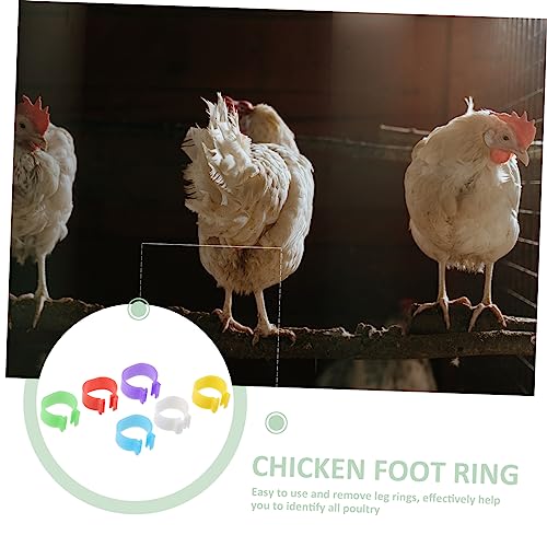 Yardwe 360pcs Chick Identification Rings Poultry Racing Bands Foot Rings for Chicken Poultry Reusable Material Random Color