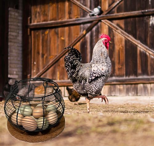 Egg Basket for Gathering Fresh Eggs, Retro Handle Egg Gathering Basket with Mat, Metal Egg Holder Countertop, Chicken Egg Basket for Farmhouse - color: Black