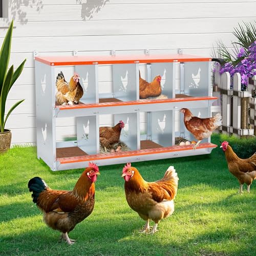 Galvanized Steel Chicken Nesting Box 8 Bay Wall Mounted Predator Proof for Hens and Ducks Easy Egg Collection Vented Design Easy Assemble Orange Coop Equipment (8 Compartment) - size: 42.5"L x 17.0"W x 25.0"H