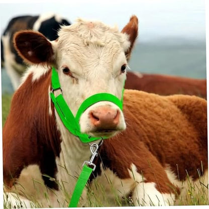 2 PCS Cow Halter Adjustable Calf Halter with Leading Rope, Heavy Duty Nylon Cattle Halters for Horse/Donkey/Goat/Cattle, Foal