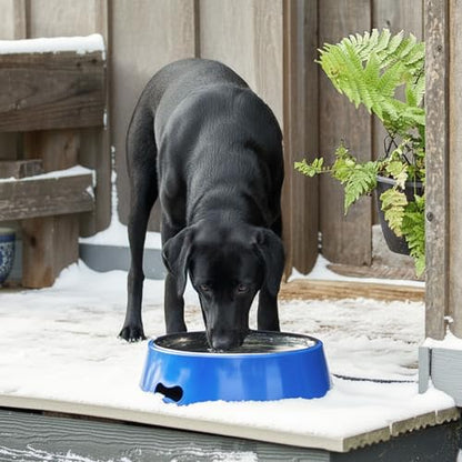 Farm Innovators Heated Pet Water Bowl, 40W Heated Water Dish - 3 Quart Stainless Steel Watering Station with Anti-Chew Cord Protector for Dogs & Cats - size: 3 Qt