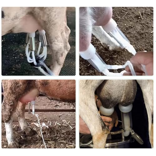 2-in-1 Electric Milking Machine for Cattle and Sheep, Portable Pulse Control Milker, Rechargeable Battery Powered, with 4 Teat Cups 1 Food Grade Milk Bucket Suitable for Small 10L - size: 10L