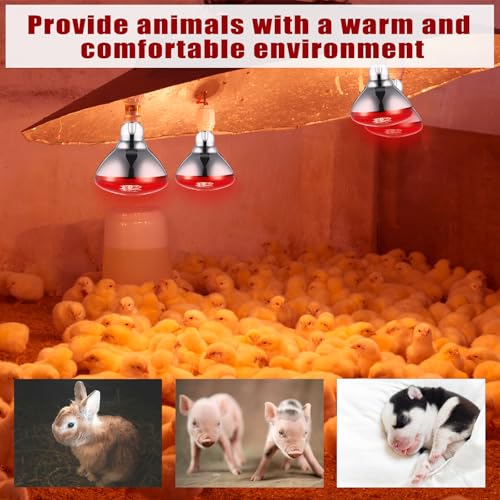 VIHOSE 8 Pack Infrared Heat Lamp for Chickens 250watt 120v Thickened Red Heat Lamp Bulbs for Food Service, Reptile, Pet, Bathroom, Light Therapy Use E26 Base - style: 250 Watt