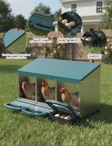 3 Hole Roll Away Chicken Nesting Box - Chickens Laying Box with Removable Tray, Easy Egg Collection & Cleaning, Metal Nesting Boxes for Backyard, Farm, Poultry Coop - color: green, size: 3 Compartment