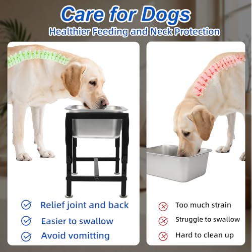 YUEPET 1.25 Gallon Elevated Dog Water Bowl for Medium Large Dogs Stainless Steel Dog Bowl with 4 Heights Adjustable Metal Anti-Slip Stand Pet Bowl for Joint Pressure Relief Indoor Outdoor Use - size: 1.25 Gallon
