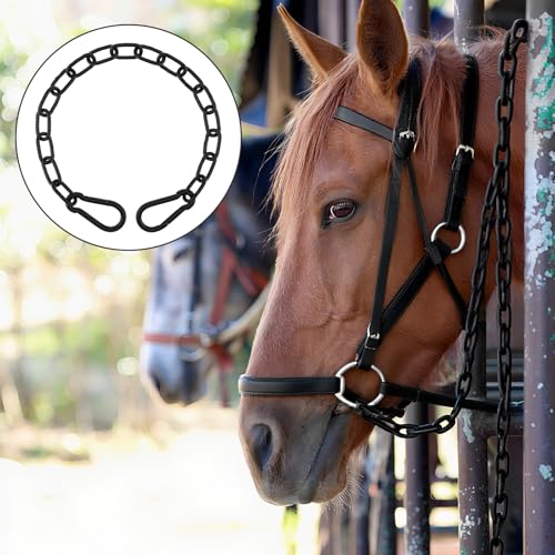 Gate Chain Lock for Outdoor Fence,304 Stainless Steel Gate Chain 20" x 13/64" with Both-Ended M8 Carabiners,Chain Link Latch Lock for Wooden Fence Pet Cages (20" x 13/64", Piece, 1) - size: 20" x 13/64"