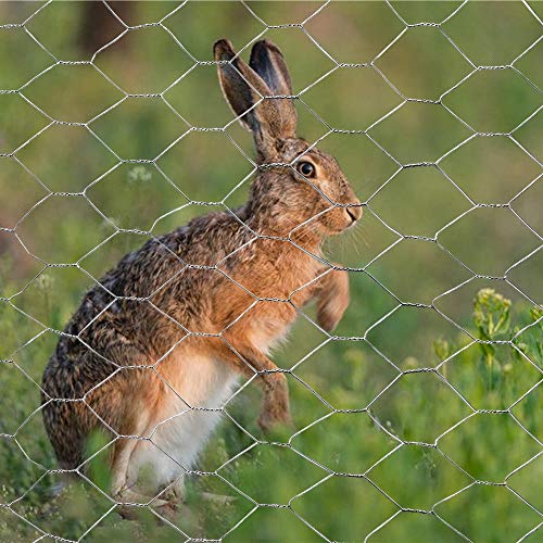 20GA Galvanized Hexagonal Poultry Netting Chicken Wire 60 inches x 150 feet x 2 inches Mesh - size: 60"x150'- 2" 20GA