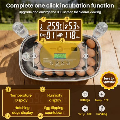 24-Egg Incubator: Auto Egg Turner, Precise Temp Control, Auto Water Refill, Candler | 360° Full Clear View | Fits Chicken/Duck/Quail/Goose/Parrot Eggs | Farm/Home/Classroom Use