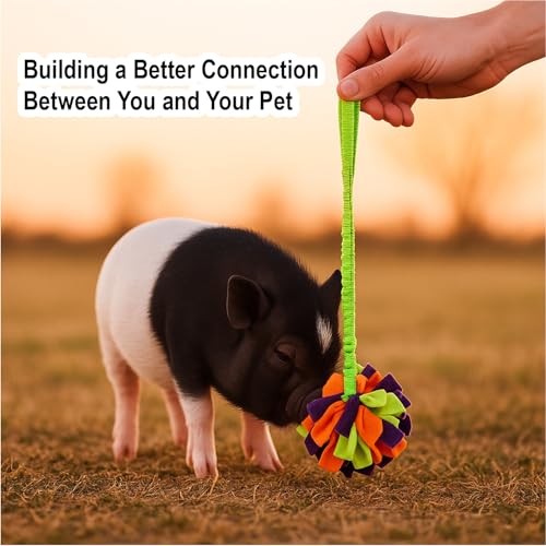 Snuffle Ball with Handle for Pigs– Pig Enrichment Toys for Mini Pigs, Potbellied Pigs & Farm Use – Interactive Foraging & Rooting Toy, Slow Feeding Pig Toys Accessories