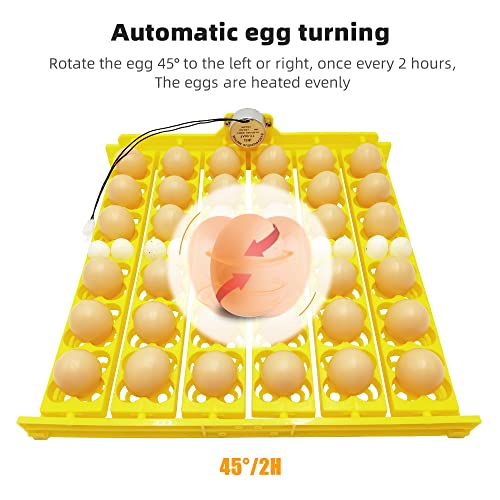 Automatic Multifunction Incubator Egg Tray With 110V Motor Turning Hatcher for Chickens/Ducks/Birds/Poultry (36-tray-110V) - color: 36-tray-110V