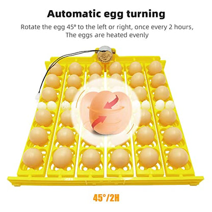 Automatic Multifunction Incubator Egg Tray With 110V Motor Turning Hatcher for Chickens/Ducks/Birds/Poultry (36-tray-110V) - color: 36-tray-110V