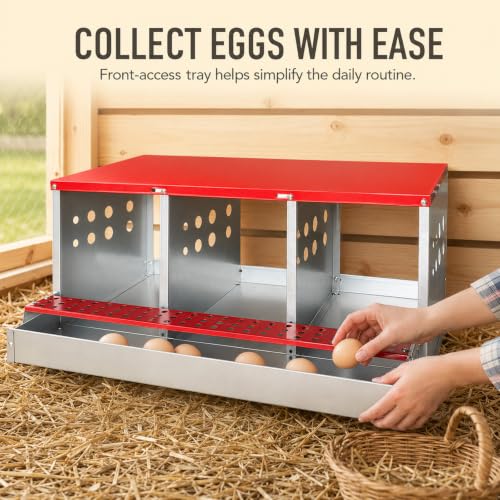 3-Compartment Roll Away Chicken Nesting Box for Hens, 32.6 Inch | Metal build, Egg collection tray, Perch, Protective lid, Wall mount, Freestanding setup, Ducks, Backyard coop, Barn supply - size: 32.6"L x 16.9"W x 13.9"H
