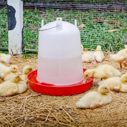 Pickmesh 2 Pcs 2 Gallon Plastic Poultry Drinker Poultry Waterer Automatic Chicken Water Feeder Fed Water Container Jar for Duck Baby Chicks Rabbit Turkeys Outdoor Farm