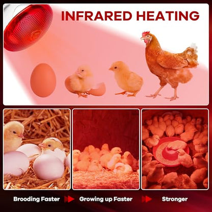 Heat Lamp Bulb for Chickens, Red Heat Lamp Infrared Light Bulb with Power Cord Hanging Chain for Chicks