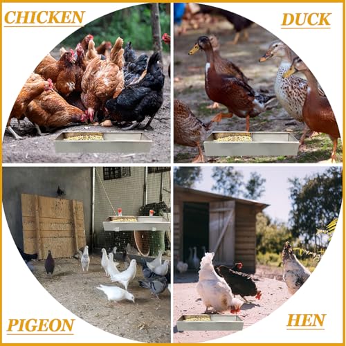 2 Pack Multifunctional Chicken Feeder, Hanging Chicken Feed Trough, Stainless Steel Trough, Chicken Feeder and Waterer Set, for Poultry Livestock. (40 * 11 * 7cm)