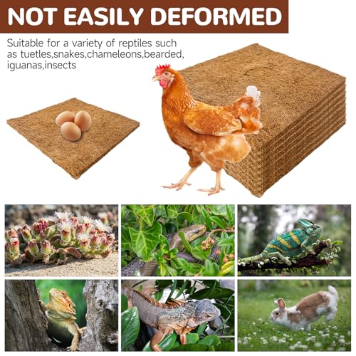 Baoblaze 6X Nesting Mats, Hen Nest Box Pads, Comfortable Coconut Fiber, Reusable Poultry Supplies, Washable Bedding Mats for Hen Laying Eggs, Coop Pet Garden Lawn Indoor Outdoor, 25x25cm - size: 25x25cm