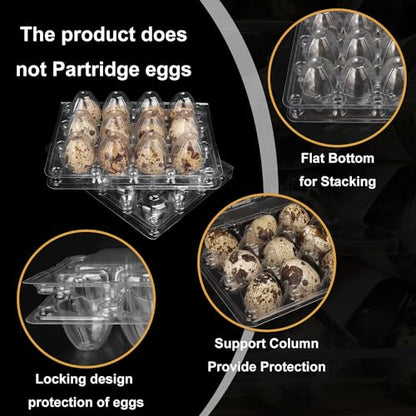 200 Pack Quail Egg Cartons, Clear Plastic Quail Egg Trays, Holds up to 12 Quail Eggs Securely - Your Ultimate Small Eggs Carton Holders for Bulk Storage and Display - size: 200 Pack Quail Egg Cartons 12 Grids