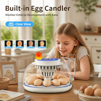 12 Egg Incubators for Hatching Eggs, Temperature and Humidity Control, Automatic Egg Turning, Egg Candler, Automatic Water Refill, for Chicken, Quail & Duck Eggs, Perfect for Home, Farm, Classroom - size: 12 Eggs