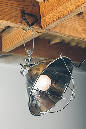Woods Clamp Lamp with 10 Inch Reflector and Bulb Guard (300 Watt Bulb, 6 Foot Cord) - size: 1 Count (Pack of 1)