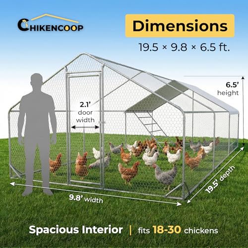 CHIKENCOOP 19.5x9.8x6.5 ft Metal Chicken Coop, Chicken Run with Cover | Three-room walk-in chicken run with waterproof UV-resistant cover, lockable steel door, and PVC-coated wire mesh. - size: 238.0"L x 118.0"W x 80.0"H