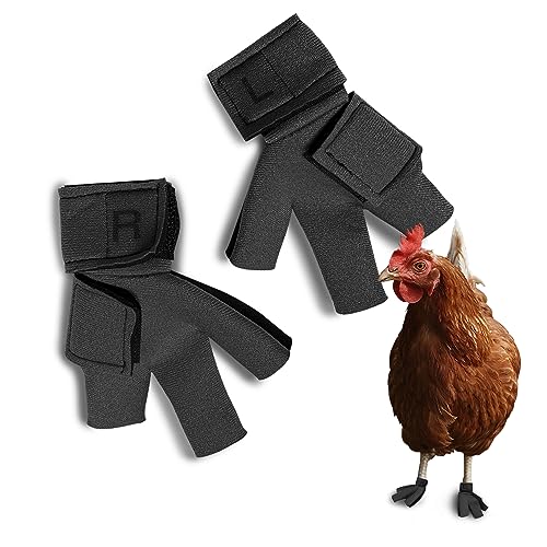 Chicken Shoes for Injured Feet – Protective Neoprene Footwear for Chicken, Open-Toe Design for Bumblefoot Relief, Made in USA - Standard, 3" Max. Inside Width, Gray - color: Gray, size: Standard Chickens, style: CHICKEN SHOES