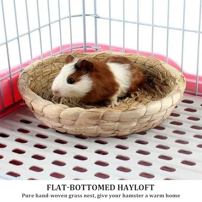 5 Pcs Pigeon Nest, Bird Nest Bowls, Wooden Nest for Pigeons Breeding Hatching (Natural Nest) - style: Natural Nest