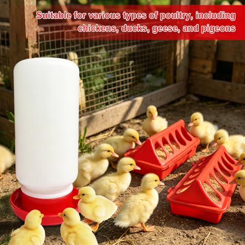 Chick Feeder and Waterer Set, 3 Pack 12-Hole No-Spill Poultry Feeders with 1PCS 1L Automatic Chicken Waterer, Baby Chick Starter Kit for Ducklings, Quail, Small Birds