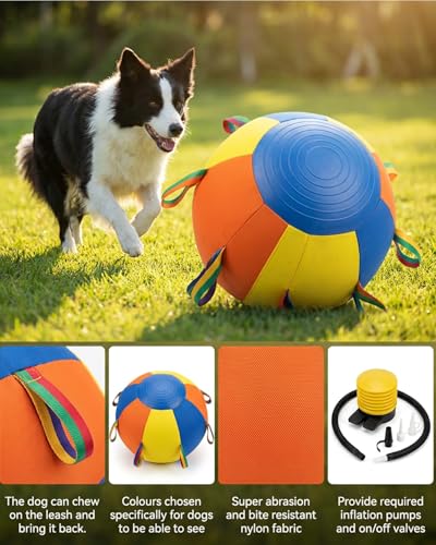 10/18/22" Herding Ball for Dogs Durable Tear Resistant Inflatable Jumbo Calming Toy Heavy Duty Handle Cover Pump Outdoor Play Exercise Training Large Breeds Border Collie Cattle Dog Waterproof (10IN) - size: 10IN
