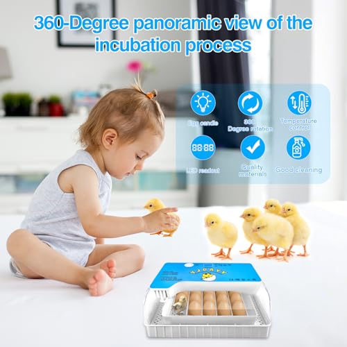 Incubators for Hatching Eggs 15-35 Eggs Incubator with Automatic Egg Turning and ℉Temperature Display LED Candler Poultry Incubator for Hatching Chicken Duck-Y (Blue)