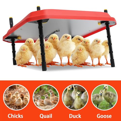 Poultry Heat Lamp for Chicken Coops, Adjustable Height Brooder Plate for 30-40 Chicks, Safety Indicator, 16" x 16" Ideal Heating Solution for Poultry