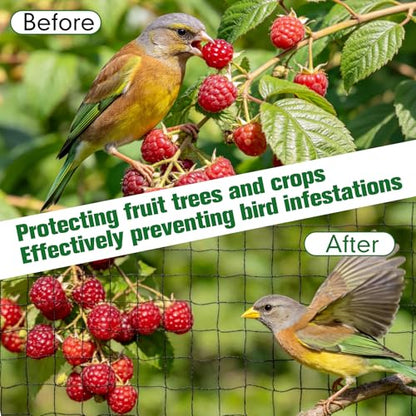 50 x 100 ft Bird Netting for Chicken coop 2.4" Mesh Poultry Netting, Protects Garden, Fruit Trees & Poultry from Birds & Small Animals