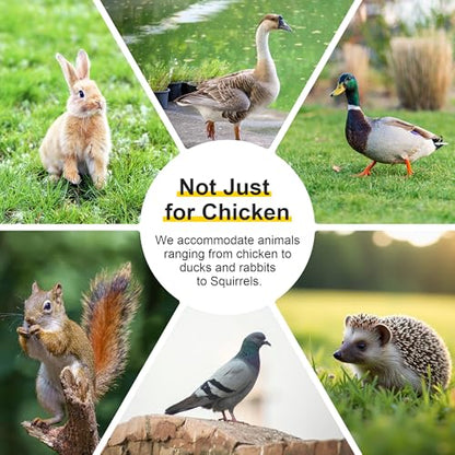 GOJOOASIS Chicken Coop for 2 Chickens Outdoor Rabbit Hutch Chicken House Cage with Ramp & Nesting Box for Small Animals (Grey) - color: Grey