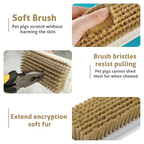 2-Pack Pig Enrichment Scratch Brush – Stress Relief for Pets | Self-grooming tool for mini pet pigs. Helps increase enjoyment. Suitable for pigsties, fences, Wooden Stakes and courtyards