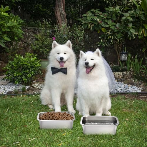 Lawei 2 Pack 1.2 Gallon Stainless Steel Dog Bowls for Large Dogs, Rectangular Metal Dog Water Food Bowl, Large Capacity Pet Food Bowl Water Dish, Indoor and Outdoor Universal Pet Bowl, Easy to Clean