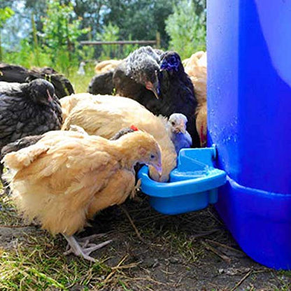 BEC MaxiCup Automatic Chicken Waterer Cup – Self-Filling Heated Poultry Drinker for Chickens, Ducks, Geese, Quail, and Small Animals – Gravity-Fed Chicken Waterer for Buckets & Tanks