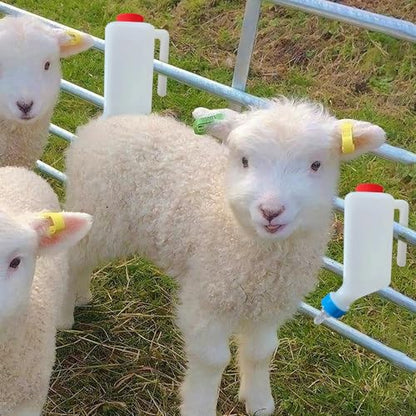 2Pcs 800ml Lamb Baby Bottle Hanging Plastic Milk Feeder with Handle for Goat & Calf