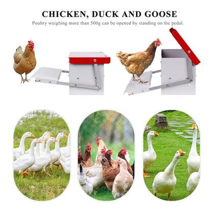 Automatic Chicken Feeder, Galvanized Treadle Poultry Feeder No Waste, Rainproof Metal Auto Chicken Feeder Rat-Proof, No-Spill for Duck Turkey Outside