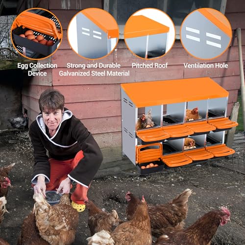 8-Hole Chicken Nesting Box, 2-Tier 8 Compartment Metal Roll Away Egg Laying Box with Lid & Legs, Easy Egg Collection, Galvanized Steel Rustproof Poultry Laying Boxes for Hens, Ducks, Farm, Yard - size: 8 holes-Orange