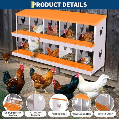Chicken Nesting Box,10 Holes Galvanized Steel Metal Chicken Laying Box with Automatic Roll-Away Egg Collection System & Removable Tray,Wall Mount Nesting Boxes - color: Orange, size: 10 Holes