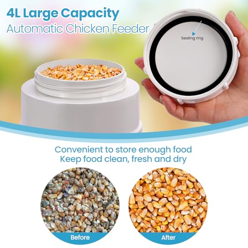 Automatic Chicken Feeder No Waste 6 Pounds Duty PVC Gravity Poultry Chicken Coop Feeder, Wall Mounted Visible Gravity Fed Poultry Feeder Tube with Rain Cover for Ducks Turkeys Geese Quails