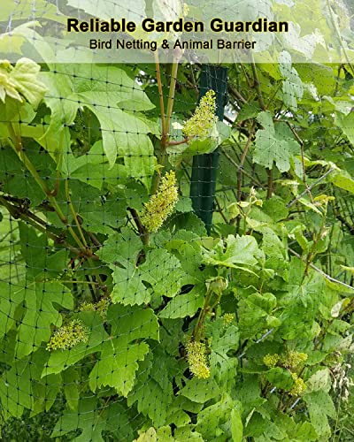 KLEWEE Bird Netting, 13 x 50 FT Heavy Duty Garden Netting for Protect Fruit Trees, Plants and Vegetables from Birds, Deer, Squirrels and Other Animals - size: 13 x 50 FT