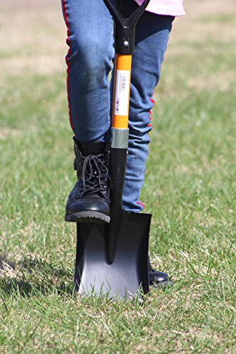 Ashman Medium Square Shovel - 1 Pack, 27 Inch Length, D-Cup Handle, Sturdy, Comfortable, Durable Handle, Built to Last - size: 1 Pack, style: Small Transfer Shovel